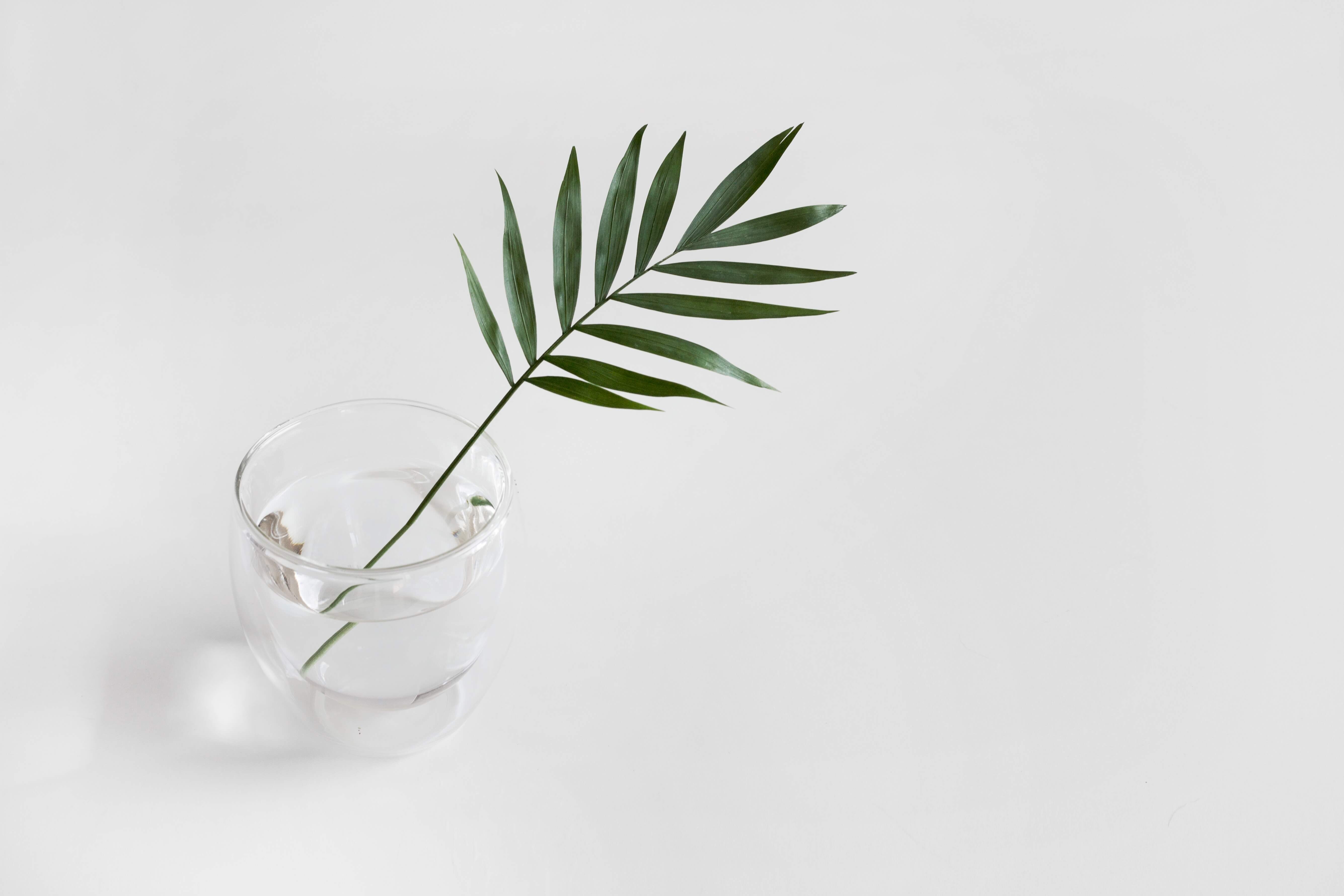 222511343610bfc4daa06e87d7ed8b03b78eed53 invest ethically header image
